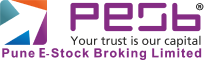 PESB logo